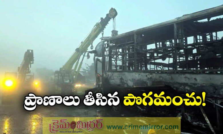 Yamuna Expressway Accidents: 13 Burnt To Death In Multi Car Pile Up On Delhi-Agra Expressway Fog