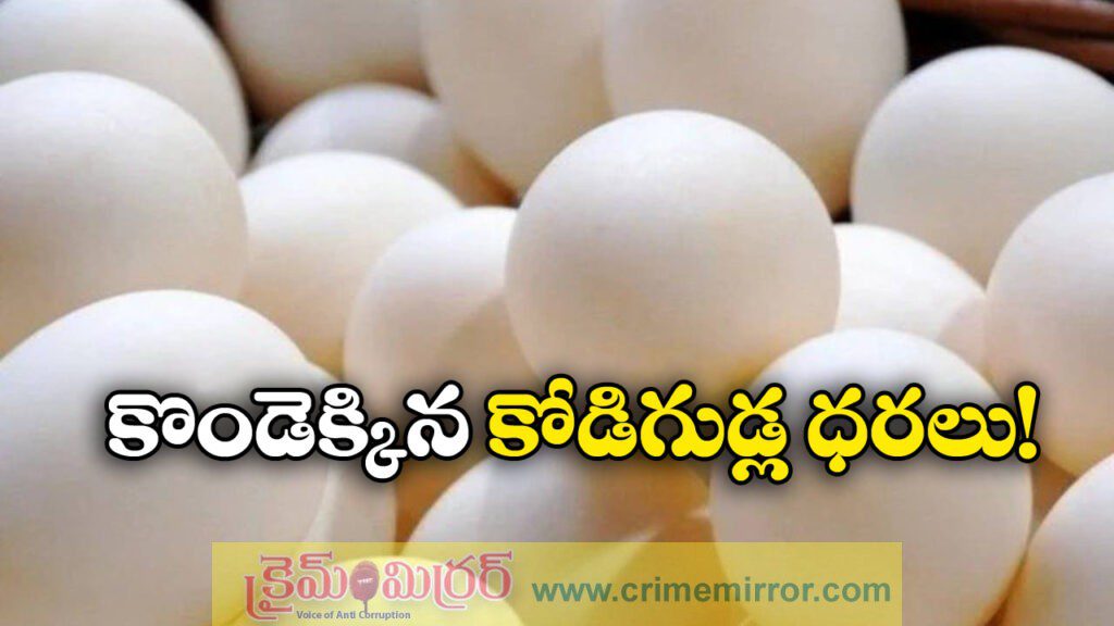 Egg Price: భారీగా పెరిగిన గుడ్ల ధరలు, ఇంకా పెరిగే అవకాశం?