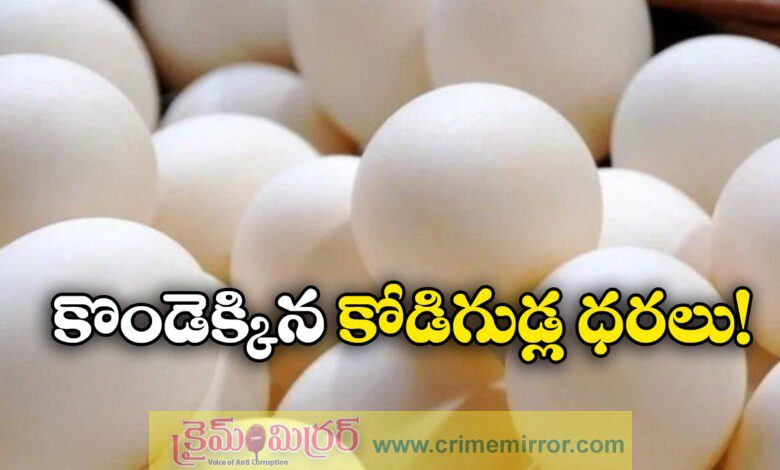egg price hike in telangana and andhra pradesh