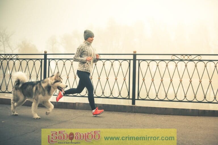 చలికాలంలో వాకింగ్ చేయకపోవడమే బెటర్!