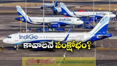 what is the reason behind indigo crisis