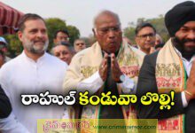 Row Erupts After Rahul Gandhi Refuses to Wear North Eastern Patka at At Home Reception