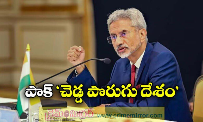 S Jaishankar called Pakistan a bad neighbour due to persistent terrorism