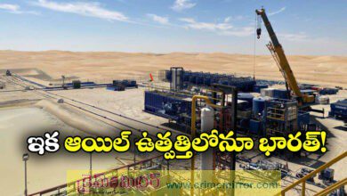 Urja Bharat Finds Oil in Abu Dhabi Onshore Block, Boosts Energy Prospects