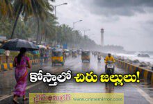 Weather Alert: Light to Moderate Rains Expected in Coastal Andhra Pradesh