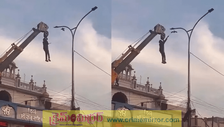 పక్షిని కాపాడేందుకు ప్రాణాలకు తెగించిన యువకుడు (VIDEO)