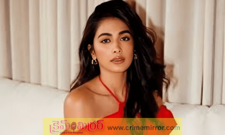 Pooja Hegde: అసభ్యకరంగా ప్రవర్తించాడు.. ఆ స్టార్ హీరోను కొట్టాను