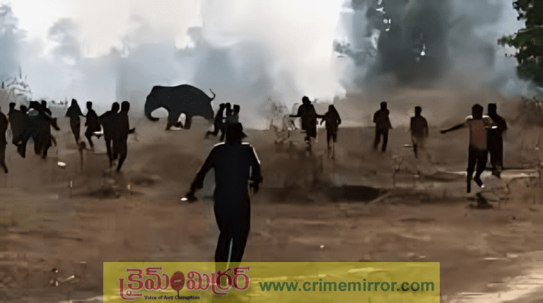 Shocking Video: మారణహోమం.. 22 మందిని చంపిన ఏనుగు