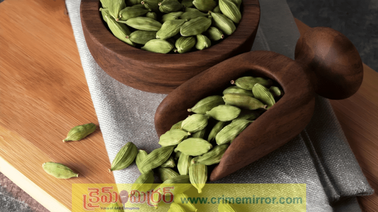 Cardamom: భోజనం తర్వాత వీటిని తింటే బోలెడు ప్రయోజనాలు