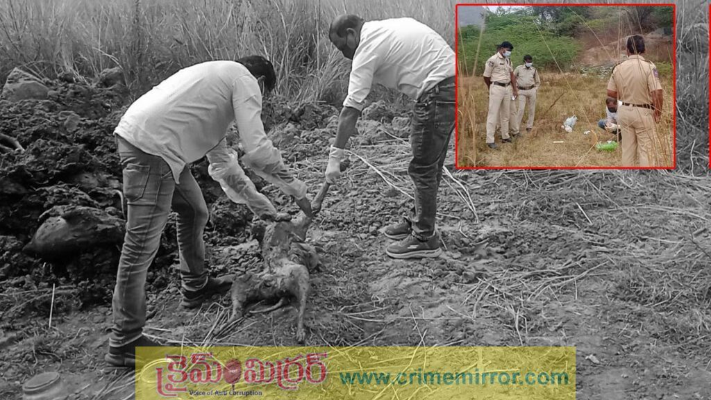 వీధి కుక్కలను చంపిన సర్పంచ్‌,ఉప సర్పంచ్,కార్యదర్శుల పై కేసు ఫైల్