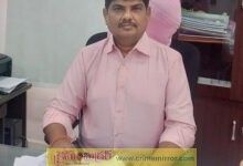  విద్యుత్ ఫెన్సింగ్ ప్రాణాంతకం