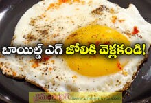 Bird Flu Alert: TN Health Minister Advises Against Half-Boiled Eggs