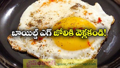 Bird Flu Alert: TN Health Minister Advises Against Half-Boiled Eggs