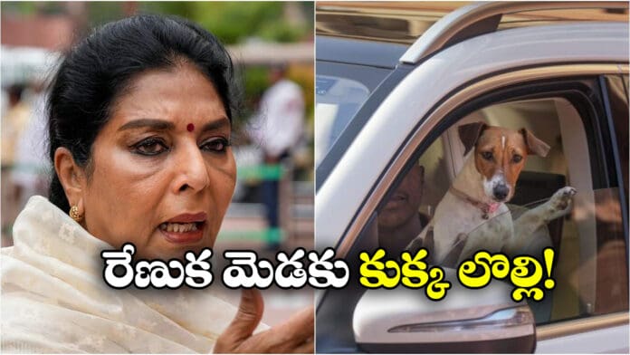 Congress MP Renuka Chowdhury Served Privilege Notice Over Dog In Parliament Row