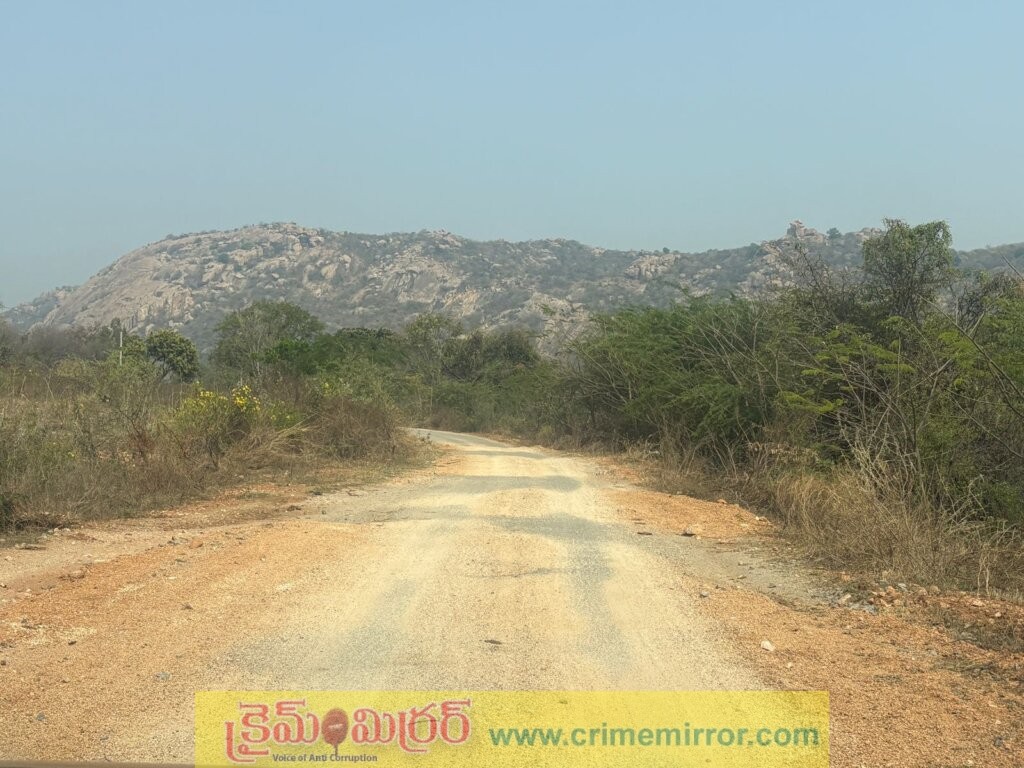 పది ఏళ్లకే పాడైన చరికొండ – ఫిరోజ్ నగర్ బీటీ రోడ్డు… నాసిరకం పనుల పై ఆరోపణలు