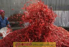 మిర్చి రైతుల ఆనందం