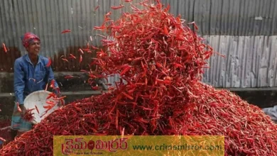 మిర్చి రైతుల ఆనందం