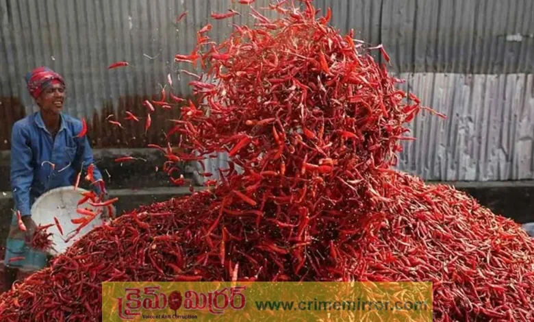 మిర్చి రైతుల ఆనందం