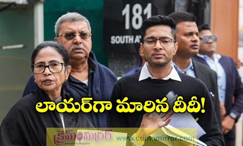 Mamata Banerjee To Argue Own Case In Supreme Court SIR Hearing