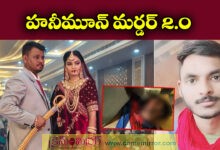 Shocking Honeymoon Case: Wife Accused of Plotting Hit-and-Run During Evening Walk