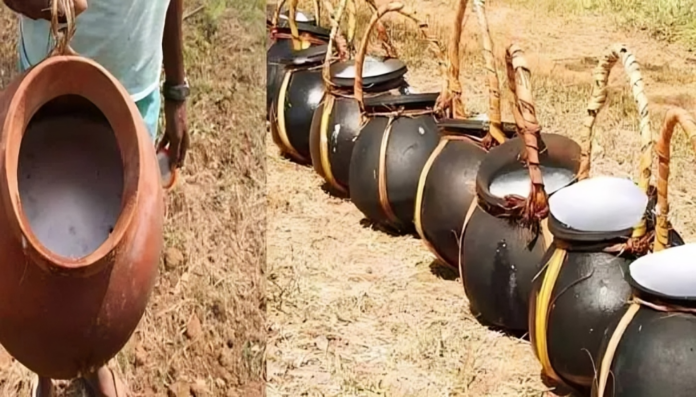 WhatsApp Image 2026-02-23 at 11.57.44 AM (1)