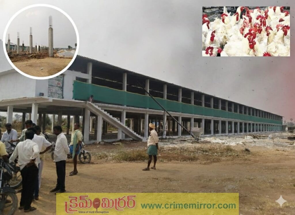 మర్రిగూడ: అడ్డు అదుపు లేని అక్ర‌మ కోళ్ల ఫారం నిర్మాణం..!