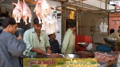 హైకోర్టు ఆదేశాలు: గుళ్లు, బడుల వద్ద మాంసం విక్రయాలు చెయ్యొద్దు