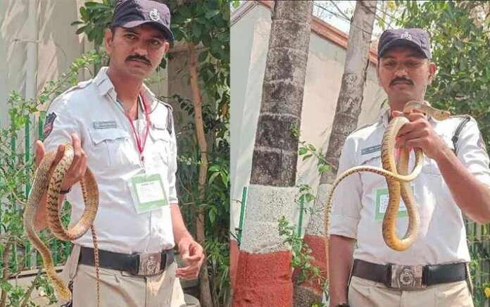 అసెంబ్లీలో పాము కలకలం..భయాందోళనలకు గురైన జర్నలిస్టులు