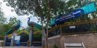 KBR Park : వన్-వే ట్రాఫిక్ ట్రయల్ రన్…! KBR Park : వన్-వే ట్రాఫిక్ ట్రయల్ రన్...!