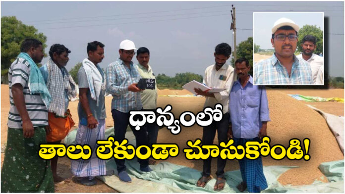 No Chaff in Paddy: Key Guidelines Issued by Agriculture Officers to Farmers
