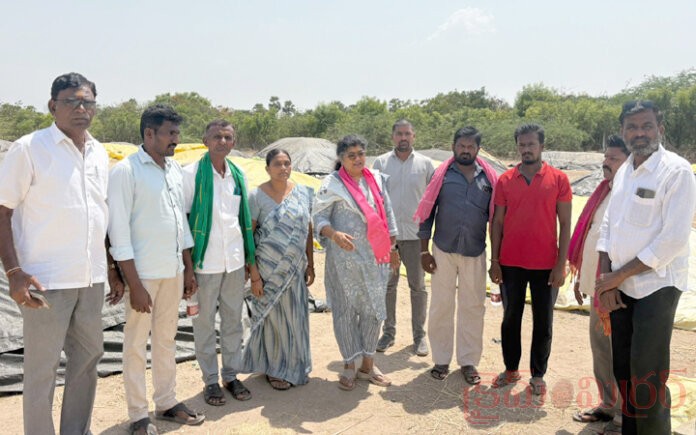 రైతులకు అండగా బిఆర్ఎస్ పార్టీ ...పాల్వాయి స్రవంతి రెడ్డి...!