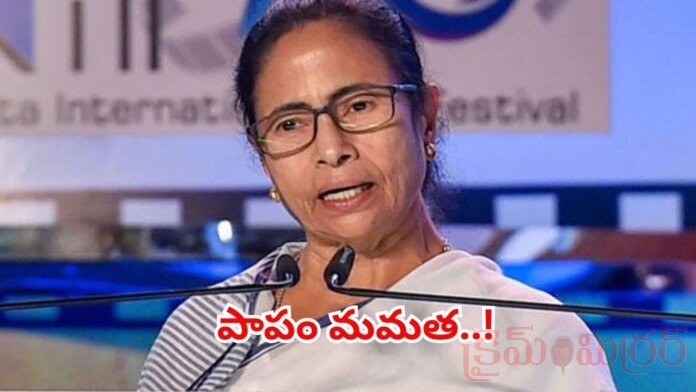 Mamata Banerjee Loss