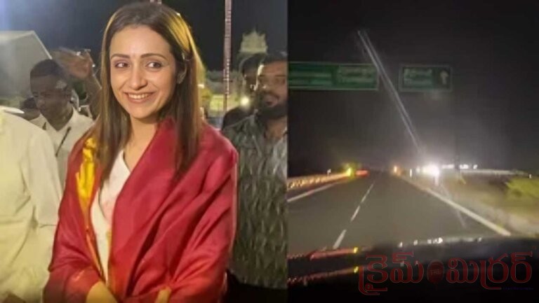 Trisha: తిరుపతి శ్రీవారి దర్శనంలో హీరోయిన్