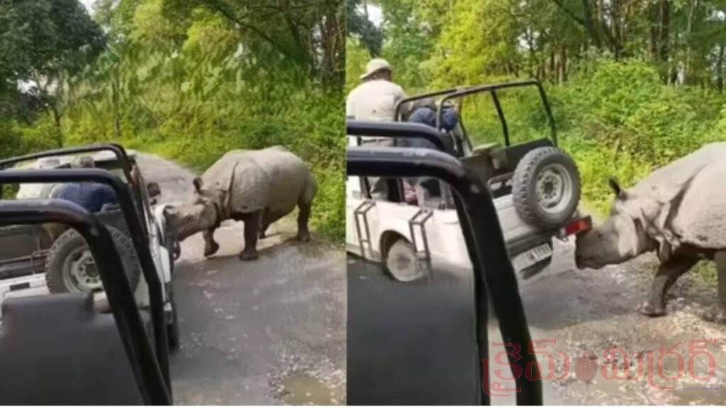 ఖడ్గమ‌ృగం దాడి.. గాల్లోకి తేలిన జీపు! (VIDEO)