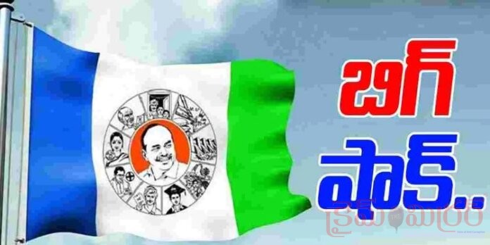 కుప్పం, మంగళగిరి, పిఠాపురంలో జాడ లేని ఇన్చార్జులు