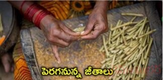 బీడీ కార్మికులకు తీపి కబురు:…! బీడీ కార్మికులకు తీపి కబురు:...!