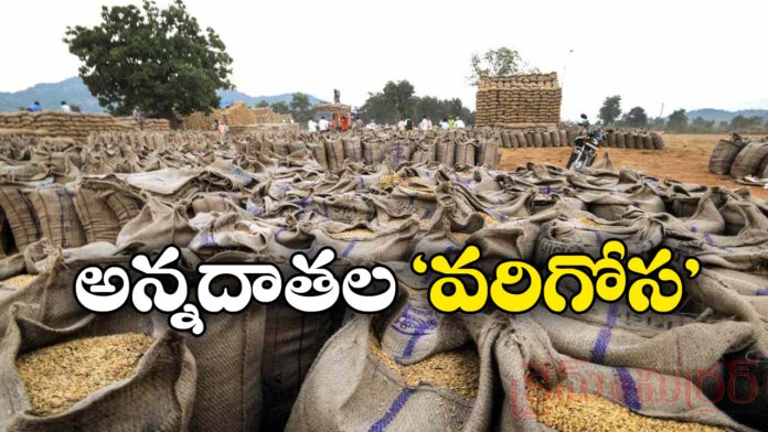‘Talu’ Cuts Leave Farmers Struggling to Sell Their Paddy
