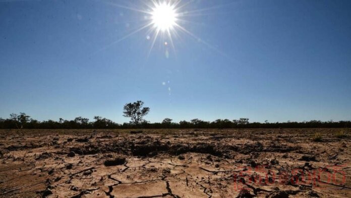 El Nino Impact: 43% Rainfall Deficit Puts 111 Districts at High Risk