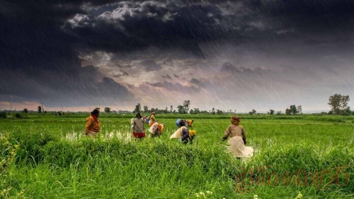 Good News for AP: Monsoon Makes Entry, Weather Set to Change