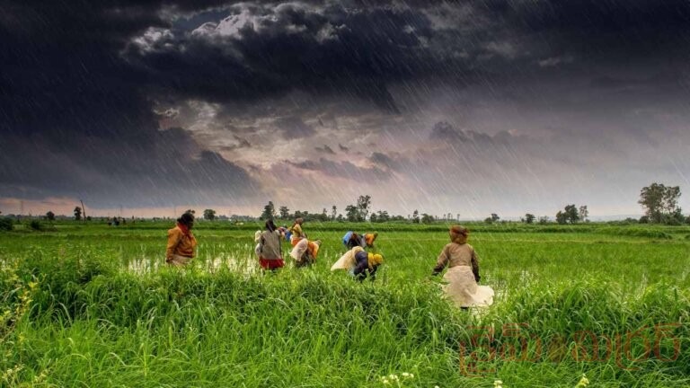 Good News for AP: Monsoon Makes Entry, Weather Set to Change