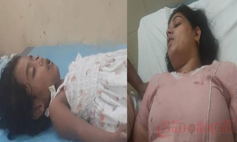 భద్రాచలం యాత్ర విషాదం – పాల్వంచ వద్ద రోడ్డు ప్రమాదం, చిన్నారి మృతి