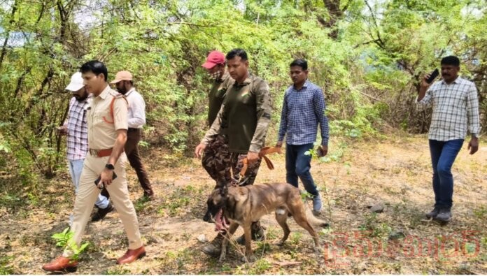 గంజాయి నిర్మూలనకు విస్తృత తనిఖీలు...!