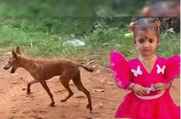 Little Girl Jnaneswari Missing case Latest Updates
