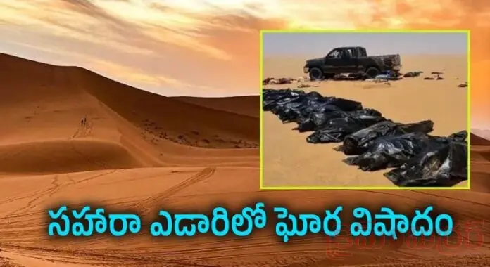 నీరు లేక 49 మంది మృత్యువాత...!