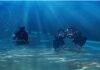 సముద్రం లోపల రహస్య వ్యవస్థలు…! Submarine secret communication systems