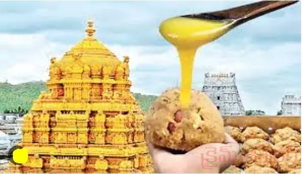 Tirumala Laddu Update: తిరుమల లడ్డూపై టీటీడీ కీలక నిర్ణయం..!