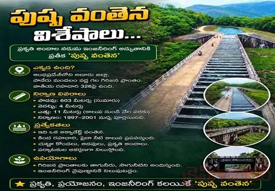 పుష్ఫ బ్రిడ్జీ చూసొద్దామా...! ఎక్క‌డో తెలుసా....