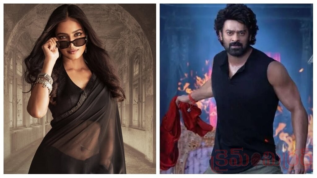 ప్రభాస్ తర్వాత రవితేజ.. తెలుగులో మలయాళీ హీరోయిన్ హవా!