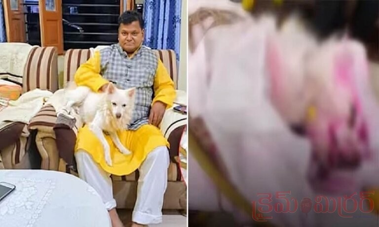 మధ్యప్రదేశ్‌లో హృదయాన్ని కదిలించే ఘటన… యజమాని అంతిమయాత్రలోనే కన్నుమూసిన పెంపుడు శునకం