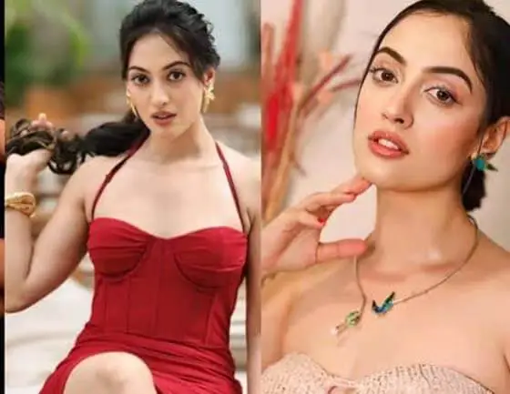 భర్తపై గృహహింస కేసు పెట్టిన ఉదయ్ కిరణ్ హీరోయిన్... అత్తింటిపై సంచలన ఆరోపణలు...!